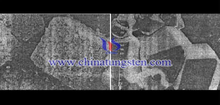 左圖為二氧化鎢的顆粒形貌圖（×1000），右圖為鎢粉的顆粒形貌（×3000）