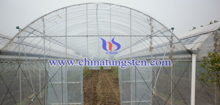隔熱農膜用氧化鎢粉圖片
