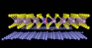 數(shù)碼相機(jī)鋰電池負(fù)極用二硫化鎢納米片圖片