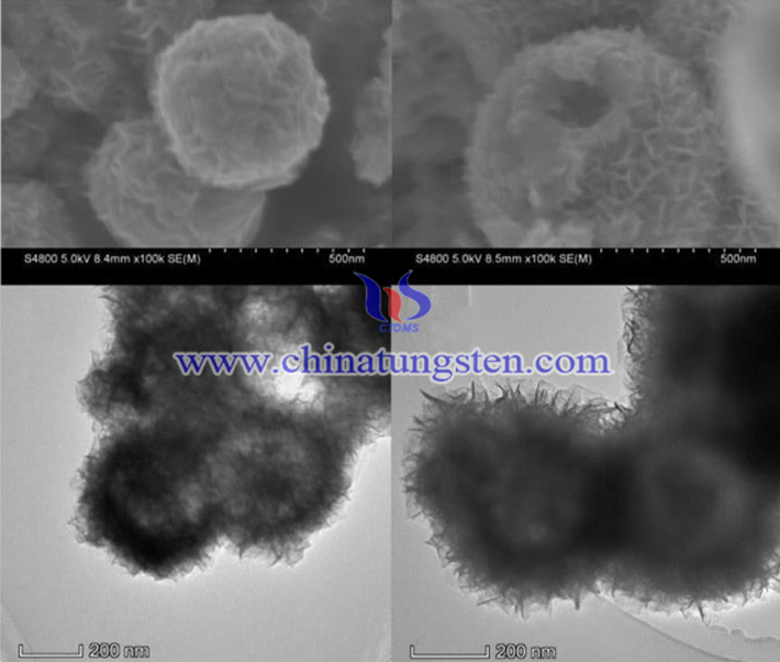 專利文檔序號爲(wèi)28486888 WS2空心球電鏡圖