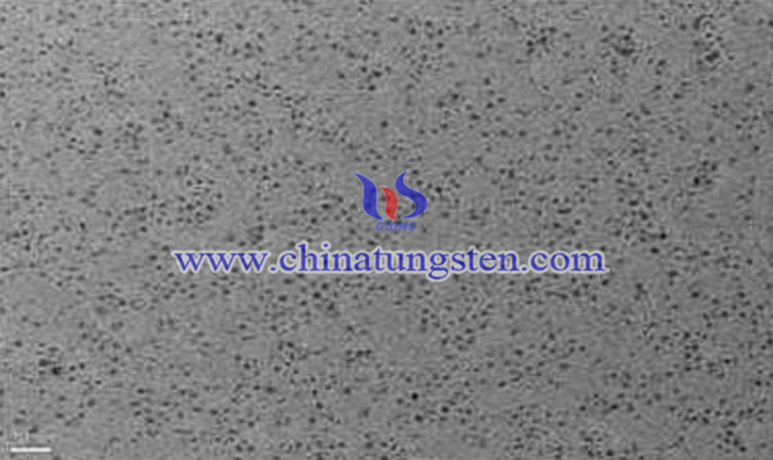 二硫化鎢量子點TEM圖(圖源:燕山大學(xué)工學(xué))