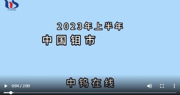 2023年上半年中國(guó)鉬市場(chǎng)行情