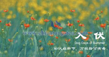 直播新聞:初伏熱浪翻湧 鎢市水波不驚 初伏圖片