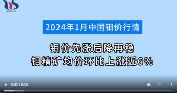 2024年1月鉬精礦均價(jià)環(huán)比上漲圖片