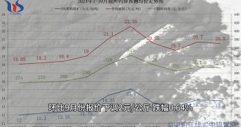 2024年10月贛州鎢協(xié)預(yù)測(cè)均價(jià)與上半月各大型鎢企長(zhǎng)單報(bào)價(jià)