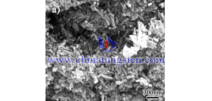 SEM of tungsten oxide nanoparticles for energy saving glass coating at different solution concentration using normal propyl alcohol as alcohol solvent
