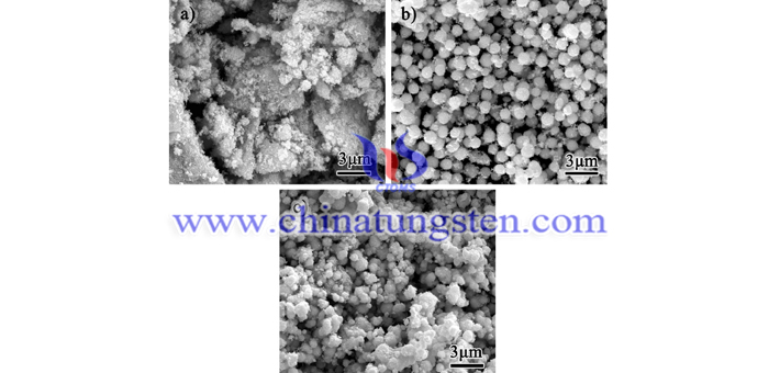 SEM of tungsten oxide nanoparticles for transparent thermal insulation material at different solution concentration using ethanol as alcohol solvent