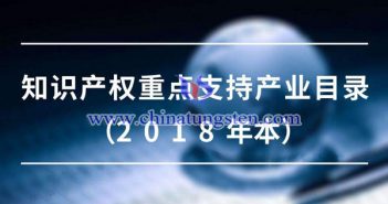 知識產(chǎn)權(quán)重點(diǎn)支持產(chǎn)業(yè)目錄圖片