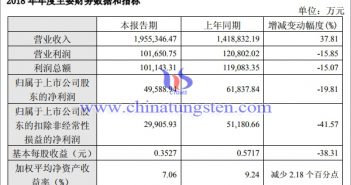 廈鎢2018年年度財(cái)務(wù)數(shù)據(jù)圖片