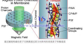 磷鎢酸系于配位聚合物分子鏈上