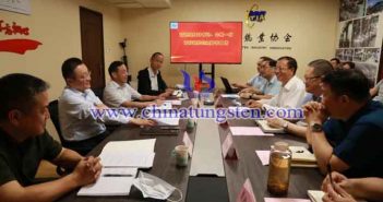 葛紅林書記一行到鎢協(xié)調(diào)研指導工作圖片