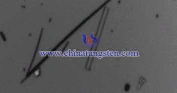 線狀紫鎢圖片（圖源：文檔序號(hào)為17784637的專利）