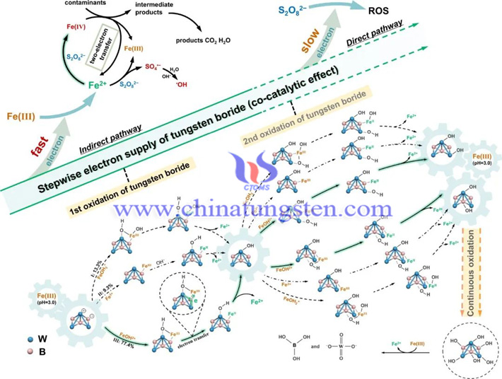 硼化鎢用于Fenton氧化過程(圖源:環(huán)境工程與科學)