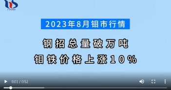 2023年8月中國(guó)鉬市行情