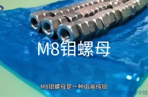 M8鉬螺母圖片